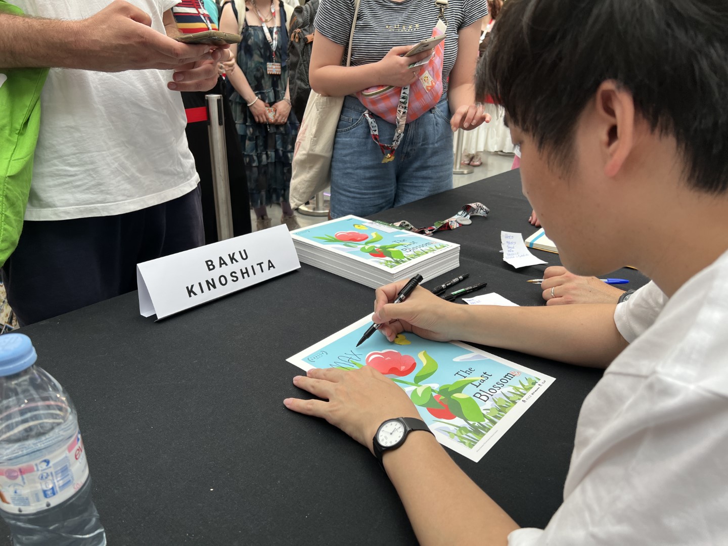 ホウセンカ annecyfestival2025